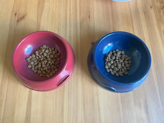 Dry food distribution: ~70% for Kücük, ~30% for Pamuk