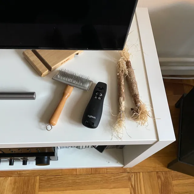 Laser pointer and brush